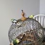 Vintage bird cage Image 3