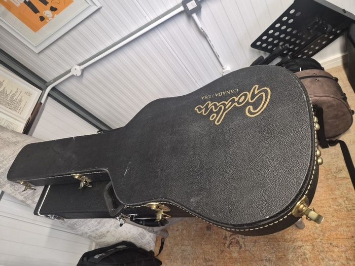 Beautiful Godin A4 Vintage Bass