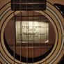 USA Harmony Acoustic Image 3