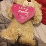 mothers day Teddy Image 3