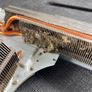PlayStation 5 PS4 Cleaning - Liquid Metal & Thermal Paste Image 7