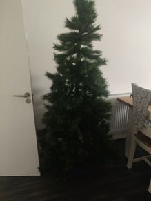 Xmas Tree & Garland