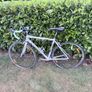 Trek Lexa (Womens)- Fully serviced this week Image 8