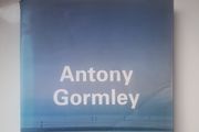 Antony Gormley by John Hutchinson, Lela B. Njatin, E. H. Gombrich and W. J. T. Mitchell