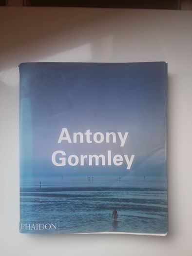Antony Gormley by John Hutchinson, Lela B. Njatin, E. H. Gombrich and W. J. T. Mitchell
