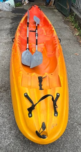 Family Kayak For Sale