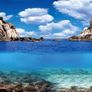 Aqua Nova Plant/Ocean Double Sided Background 60x30cm Image 2