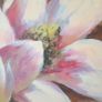 Magnolia Bloom > Oleograph Gilt Framed Painting Signed. Image 7