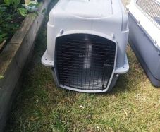 animal cage