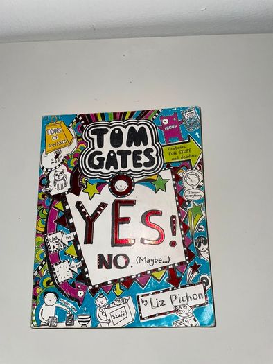 17 Tom Gates Books