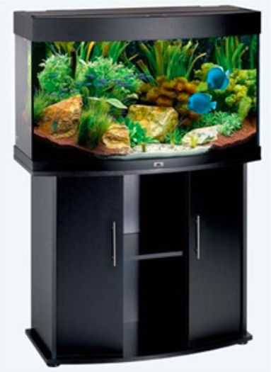 Juwel 180 aquarium