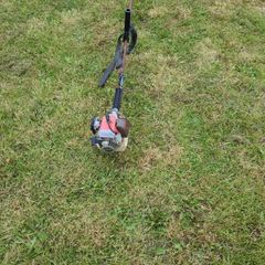 petrol strimmer