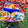 Large Quantity House Clearance Image 7