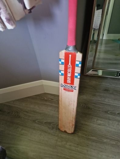 Cricket batt