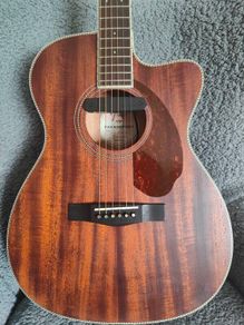 Fender PM-3C all solid mahogany guitar w/case and pickup