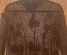Sheer Brown Lace Top