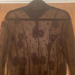 Sheer Brown Lace Top