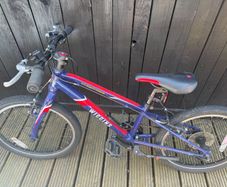 Wiggins bike