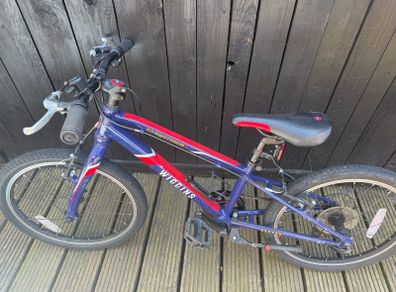 Wiggins bike