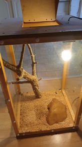 Reptile house for collection Dublin 13