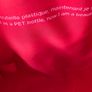 New Clarins Red Velvet Make Up and Toiletry Bag Image 2