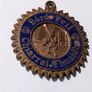 Kerry GAA medal Image 2