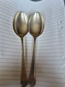 Desert Spoons