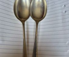 Desert Spoons
