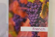 French language course