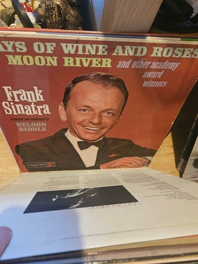Job Lot of Vinyl Records Easy Listening