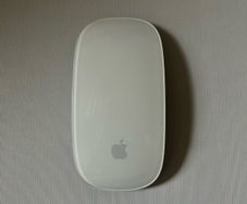 Apple mouse