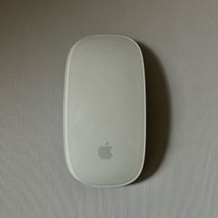 Apple mouse