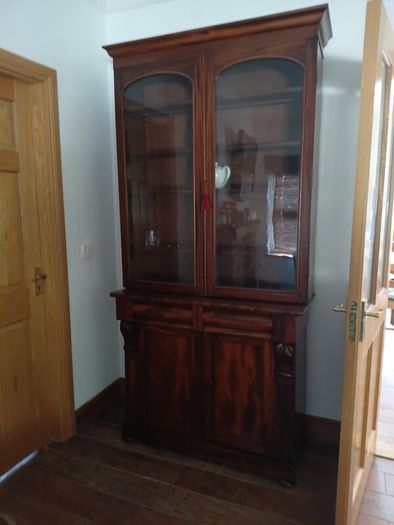 Two-door antique Victorian mahogany bookcase