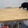 Dining Table Image 4