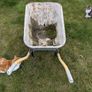 Wheelbarrow Image 3