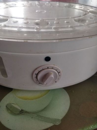 Electric steamer