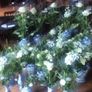 Blue & White porcelain vases Image 3