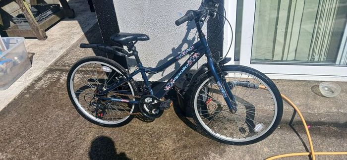 Apollo Kinx 24"