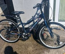 Apollo Kinx 24"