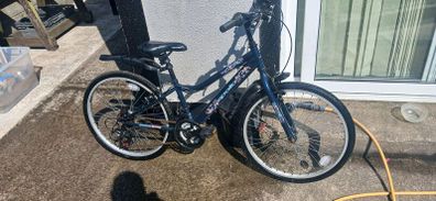 Apollo Kinx 24"