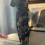 Celestron 11" Adv. GoTo Telescope & accessories Image 9