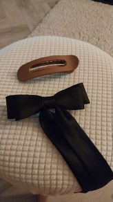 Hairclips x 2