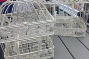 decorative twin cages