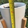 pot Image 3