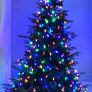christmas Image 2