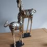 Mindy Browne Zebra Ornaments Image 2