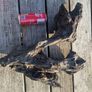 bog oak Image 3