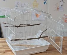 bird cage