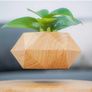 Plant Pot Floating Air Bonsai Pot Suspension Flower Pot Planter for Desk Decoration Image 2
