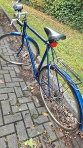 classic vintage raleigh road bike